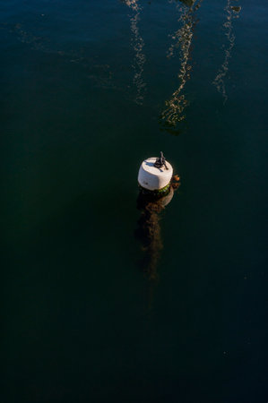 Reflections of fishing boat antennae as sun lights algae-encrusted line to float in New Bedford...