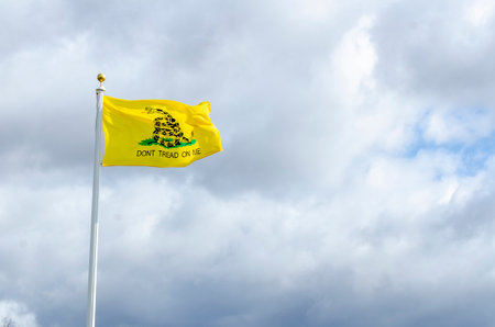 Revolutionary War flag called the Gadsden Flag flying over Fort Phoenix
