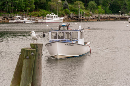 Rockport, Maine, USA - September 19, 2018: Lobster boat Black Label turning toward Goose River in Rockport harborのeditorial素材