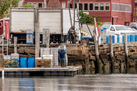 Rockport, Maine, USA - September 19, 2018: Workers dropping stacks of totes onto floating dock for...