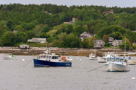 Southwest Harbor, Maine, USA - September 21, 2018: Lobsterboats moored in Southwest Harbor with homes on hill in backgroundのeditorial素材