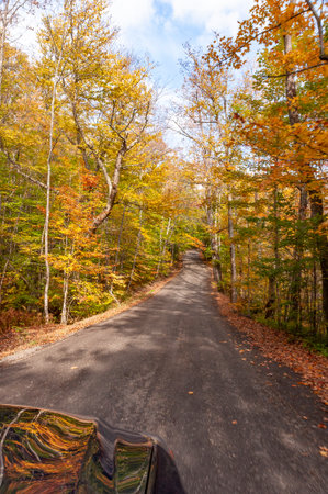 Fall foliage reflected on hood of car traveling along country roadの写真素材