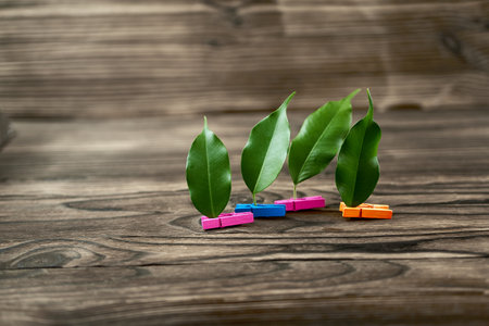 metaphor clothespins of different colors with green petals on a wooden backgroundの写真素材