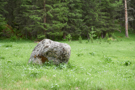 Big stone on the green meadow in the forest. Russia.の写真素材