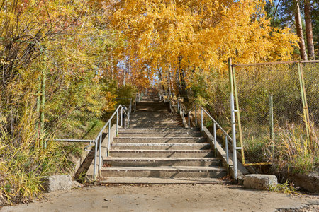 Autumn Landscape with yellow trees and stairs in the park.