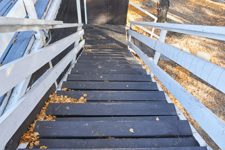 Wooden stairs in the park with fallen leaves in autumn season.