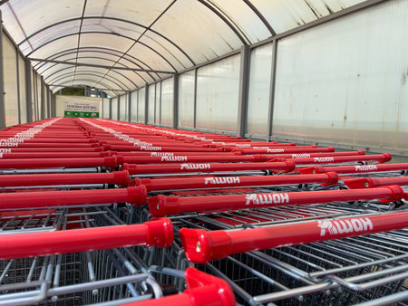 Novosibirsk, Siberia, Russia - 26, August 2023. Red carts in the Auchan supermarket.のeditorial素材