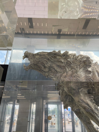 Novosibirsk, Siberia, Russia - September 3, 2023. Tolmachevo airport interior. Exhibits in the...