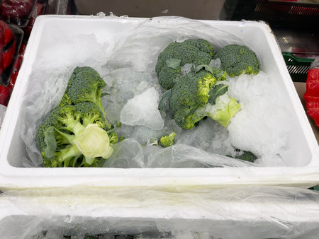 Broccoli fresh in the refrigerator with ice.