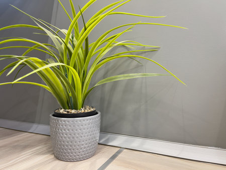 Artificial potted plant on the kitchen countertop. Modern kitchen interior.の写真素材