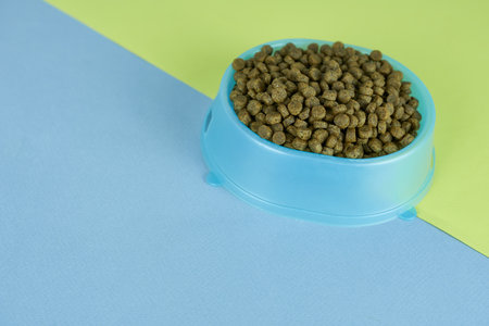 Dog food in a blue bowl on a blue and green background.の写真素材