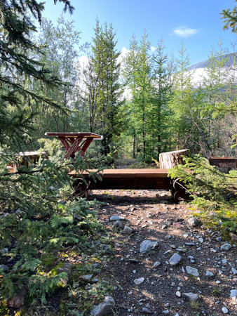 Wooden bench in the forest. Altai, Siberia, Russiaの写真素材