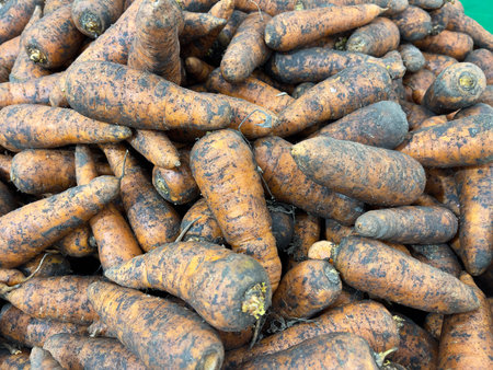 Heap of fresh carrots in a market, closeup of photoの写真素材