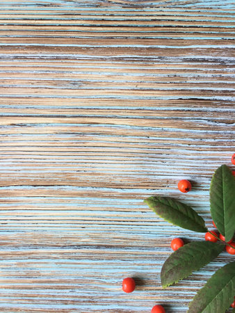 Rowan berries with green leaves on wooden background, top view. Place for text