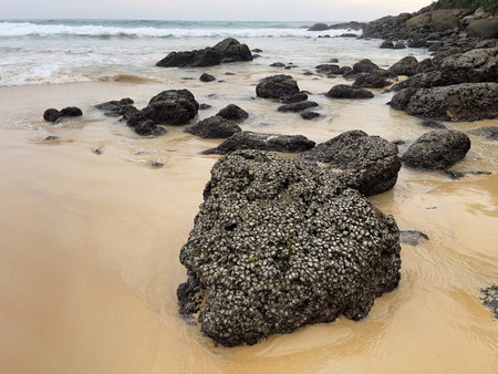 Rocks on the beach with waves in the background at low tide