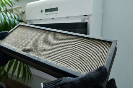 Dirty air filter for an air purifier. Air purifier in the home.