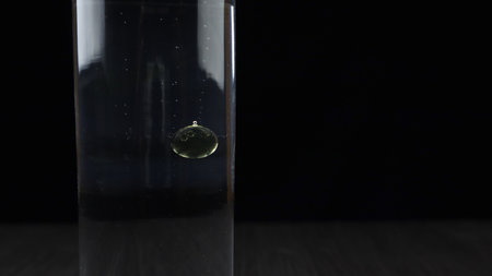 Oil bubbles in water. The science concept of water density. Oil bubbles on black background