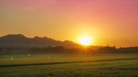 sunrise in the hill with rice fieldの写真素材