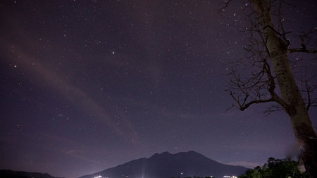 mount lawu at night with star milky way and tree