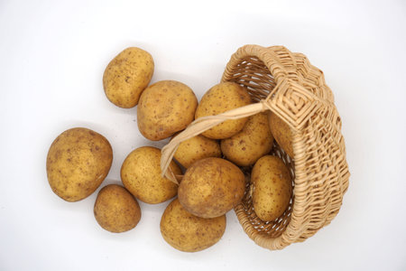Potatoes in an old basket on a white backgroundの写真素材