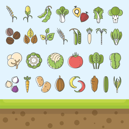 Vegetable and commodity icon with outline styleのイラスト素材
