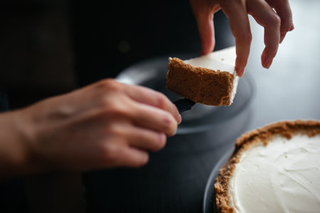 Close-up shot of a piece of cheesecake spread on a plateの写真素材