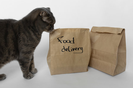 Craft bags with food delivery on a white background next to a cat