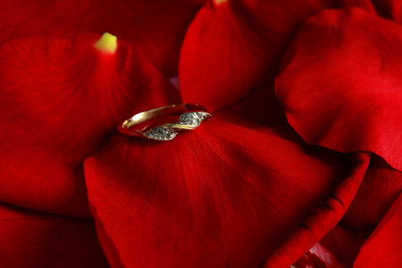 Rose petals and golden ring.の写真素材