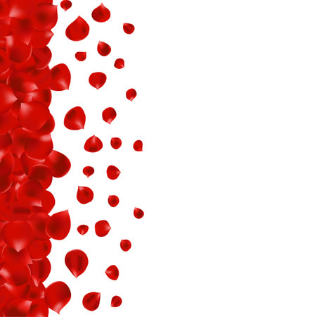 Rose petals on the edge of a page.のイラスト素材