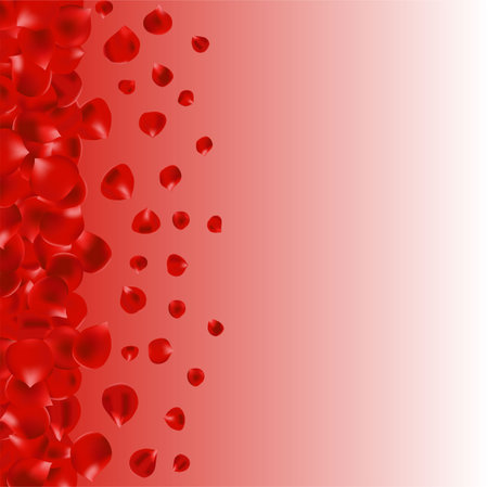 Rose petals on the edge of a page.のイラスト素材