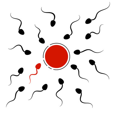 Human Fertilization Concept with Egg Cell and Spermatozoons.のイラスト素材