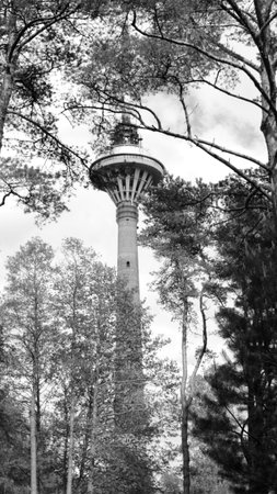 Tallinn Teletorn Tower Behind Trees in Black and Whiteの写真素材