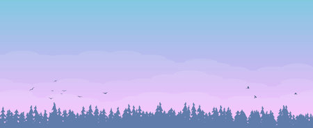 Spruce Trees Landscape on Cloudy Morning. Magic Hour.のイラスト素材