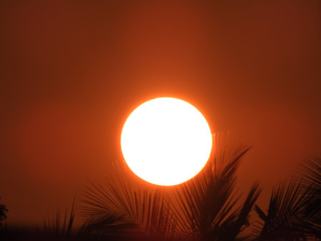 Sunset viewの写真素材