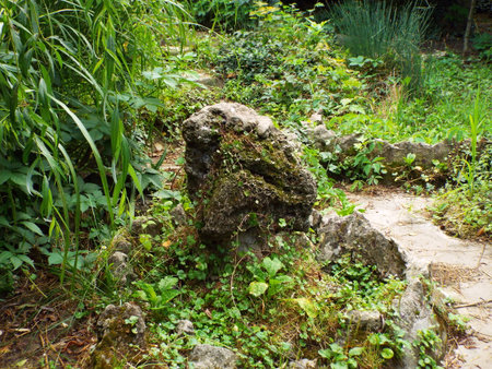 path in parkの写真素材