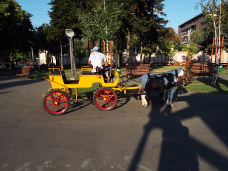Two beautiful  ponies with cart in the parkのeditorial素材