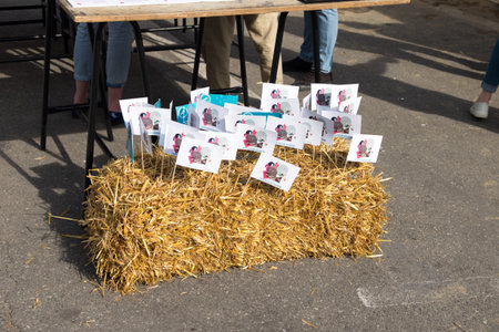 Urbanfest 2016 at George Enescu Square in Bucharest, Romania. UrbanFest is a festival of urban development, organized by the European Commission Representation in Romania. The festival aims to promote European values in town planning and sustainable localのeditorial素材