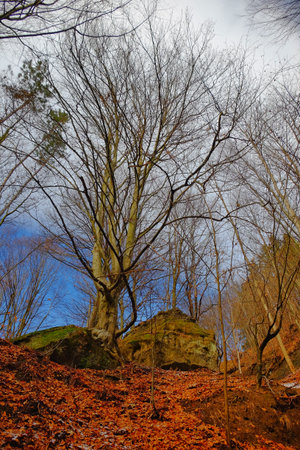 Mountain landscapeの写真素材