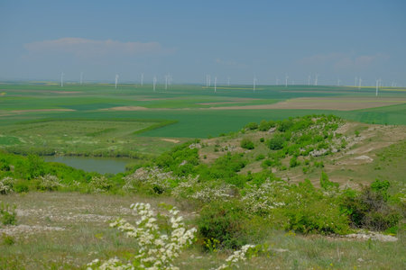 Field with wind turbines to produce green energyの写真素材