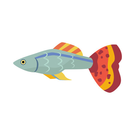 guppy fishのイラスト素材