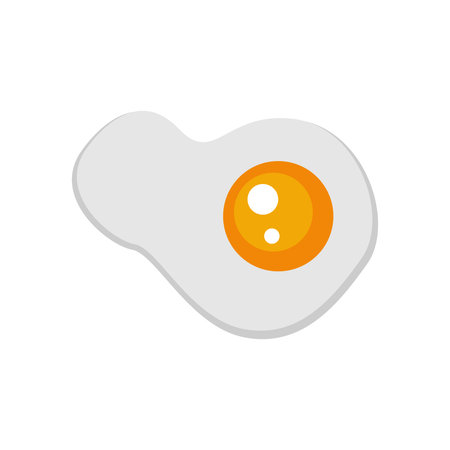 Beautiful realistic  single illustration of a Fried egg, isolated vector on white backgroundのイラスト素材