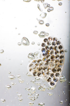 Valentine with red heart are steeped in water, macroの写真素材