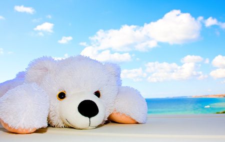Toy polar bear in the background of a beautiful sky with cloudsの写真素材