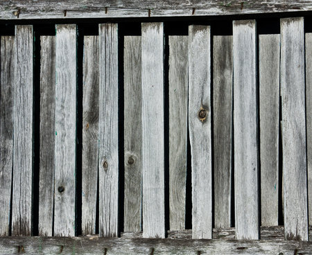 Texture of dirty Grunge wooden log careの写真素材