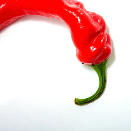 Red chili peppers lying on white paper for recipes. Cookbook. Hot.の写真素材