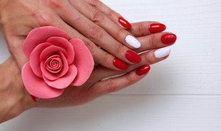 Female hands with a beautiful red manicure, on the backgroundの写真素材