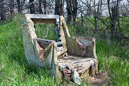 Old broken fairy chair in a forest among the greeneryの写真素材