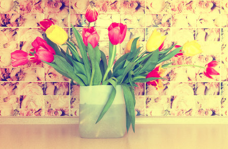 Pink and yellow tulipの写真素材