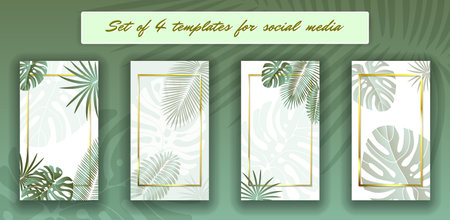 Tropical leaves social media frames. 4 Stories template kit. Vector design backgrounds for smartphone. Jungle foliage backdrop.のイラスト素材
