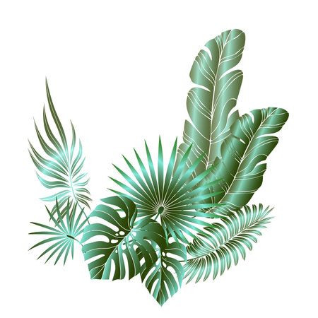 Jungle foliage design for postcard, label, web design or post in social networks. Paradise nature element. Botanical vector illustration isolated on white background.のイラスト素材
